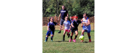 Good Luck Spring Travel and In-House Teams!